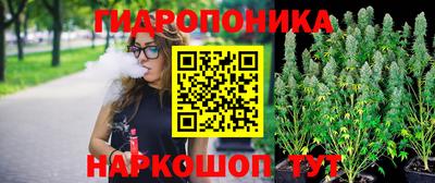 каннабис Берёзовский