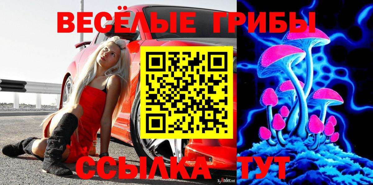 сколько стоит  Псилоцибиновые грибы мицелий  Вход с VPN  Камышлов  Псилоцибиновые грибы GOLDEN TEACHER 
